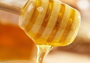 湖北有什么流蜜源植物(湖北養蜂業之湖北蜜源植物介紹) 湖北有什么流蜜源植物(湖北養蜂業之湖北蜜源植物介紹)