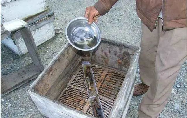 養(yǎng)蜂喂白砂糖的危害(中蜂喂白糖的壞處) 養(yǎng)蜂喂白砂糖的危害(中蜂喂白糖的壞處)