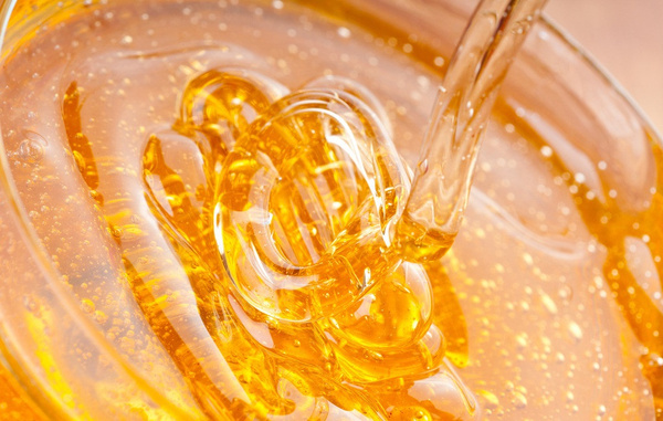 木蜂蜇人有毒嗎(木蜂會傷害人么) 木蜂蜇人有毒嗎(木蜂會傷害人么)