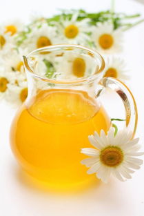 木蜂蜇人有毒嗎(木蜂會傷害人么) 木蜂蜇人有毒嗎(木蜂會傷害人么)