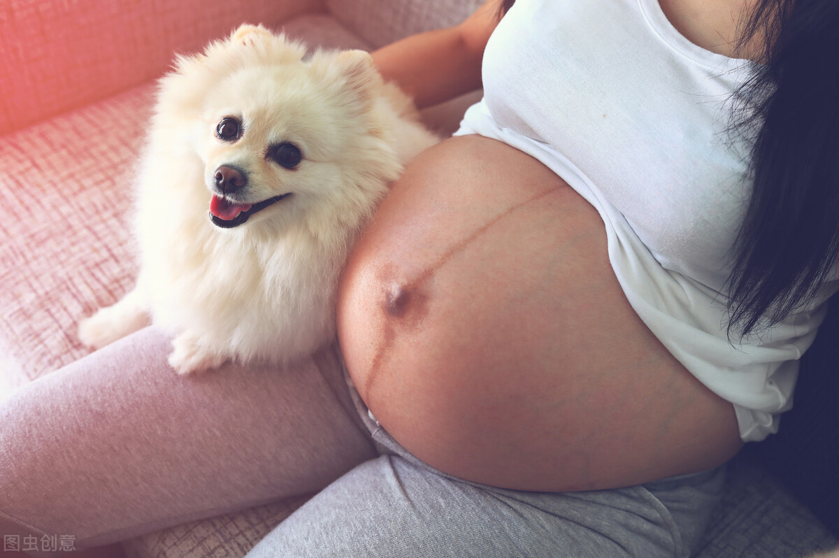 孕期該不該送走寵物(懷孕期間能不能養(yǎng)寵物) 懷孕了,該不該把狗狗送走?