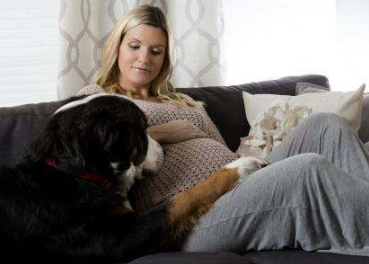 孕期該不該送走寵物(懷孕期間能不能養(yǎng)寵物) 懷孕了,該不該把狗狗送走?