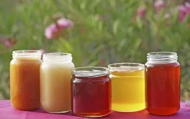 夢見蜜蜂成群是什么預兆(夢見蜜蜂成群密密麻麻飛來飛去) 夢見蜜蜂成群是什么預兆(夢見蜜蜂成群密密麻麻飛來飛去)