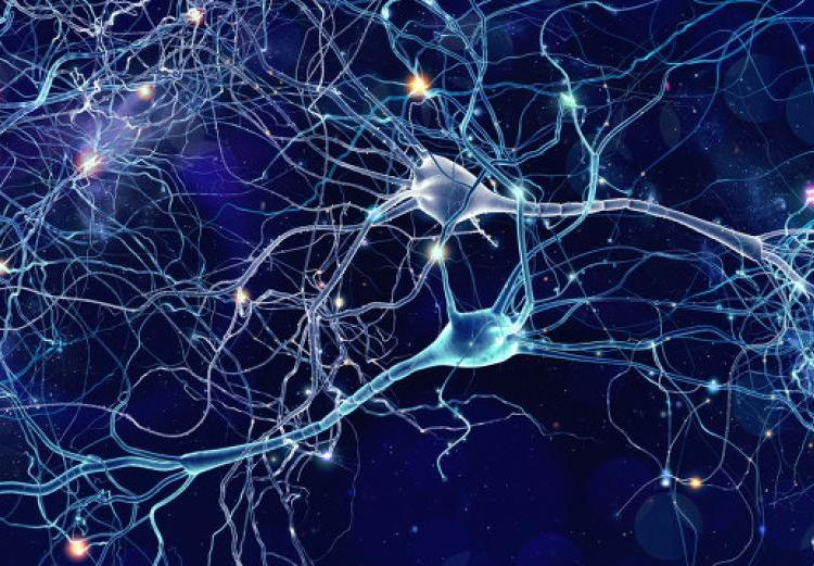 由10萬個銀河系組成!拉尼亞凱亞超星系團(tuán),是宇宙最大結(jié)構(gòu) 直徑5.2億光年,囊括10萬星系,拉尼亞凱亞超星系團(tuán)有多可怕?