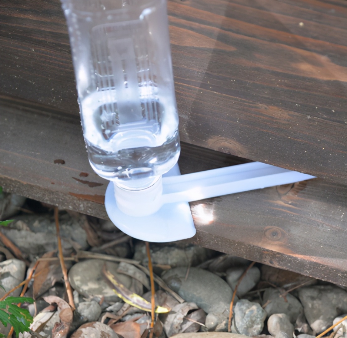 意蜂春繁怎樣快速繁蜂(意蜂繁殖快的秘密和技術(shù)養(yǎng)殖方法) 意蜂春繁怎樣快速繁蜂(意蜂繁殖快的秘密和技術(shù)養(yǎng)殖方法)