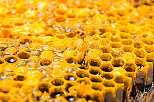 蜂巢和蜂窩有什么區(qū)別(蜜蜂蜂窩和蜂巢的區(qū)別和不同) 蜂巢和蜂窩有什么區(qū)別(蜜蜂蜂窩和蜂巢的區(qū)別和不同)
