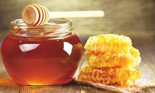 柑橘泌蜜的條件（柑橘蜜流蜜的條件）