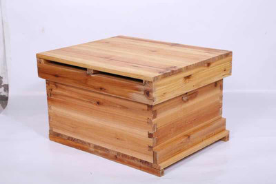 蜜蜂春繁快速繁殖技術(shù)(蜜蜂怎樣才能快速春繁) 蜜蜂春繁快速繁殖技術(shù)(蜜蜂怎樣才能快速春繁)