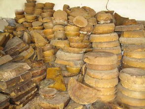 養(yǎng)20窩虎頭蜂一年利潤(rùn)(養(yǎng)殖二十箱蜜蜂一年收入有多少) 養(yǎng)20窩虎頭蜂一年利潤(rùn)(養(yǎng)殖二十箱蜜蜂一年收入有多少)