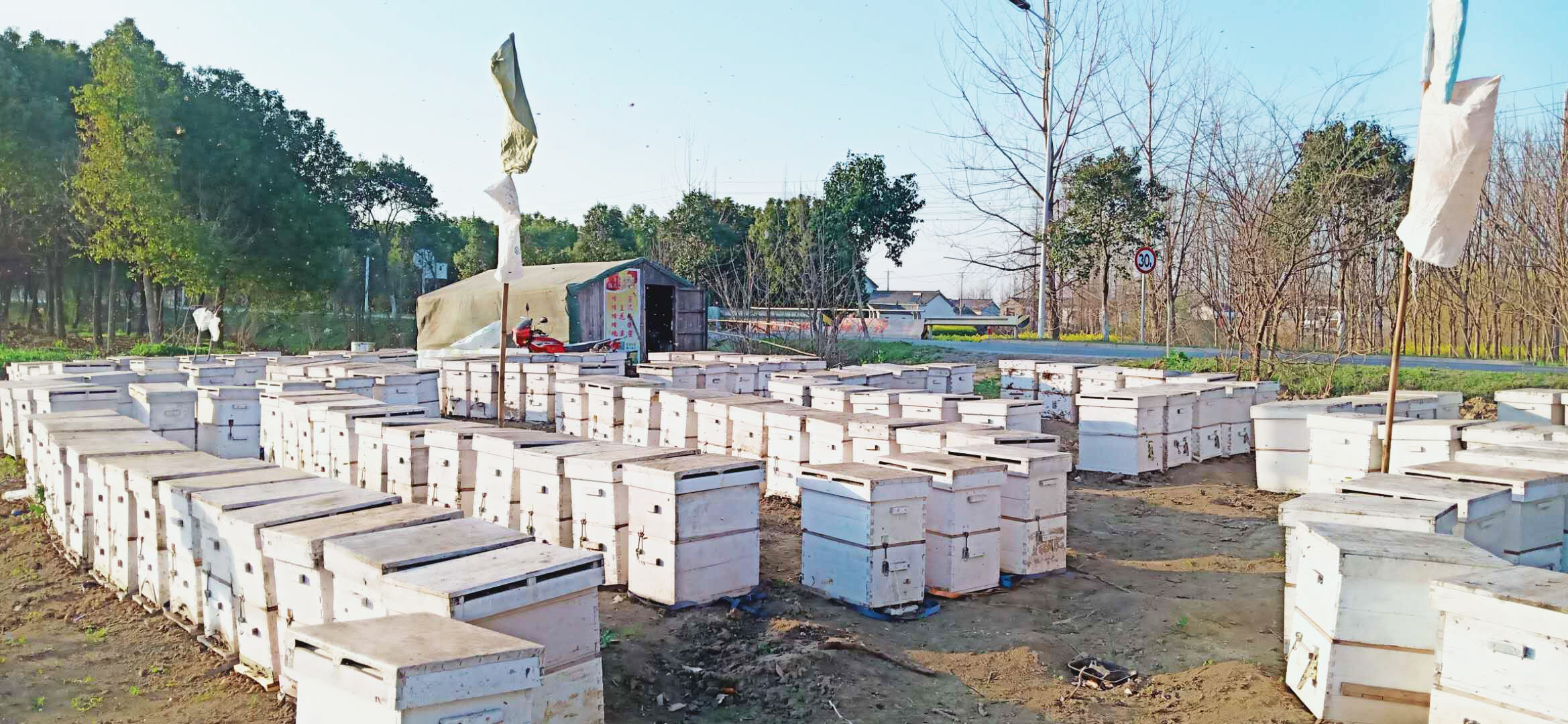 新手養(yǎng)蜂買什么樣的蜂箱(養(yǎng)蜂用什么蜂箱好) 新手養(yǎng)蜂買什么樣的蜂箱(養(yǎng)蜂用什么蜂箱好)