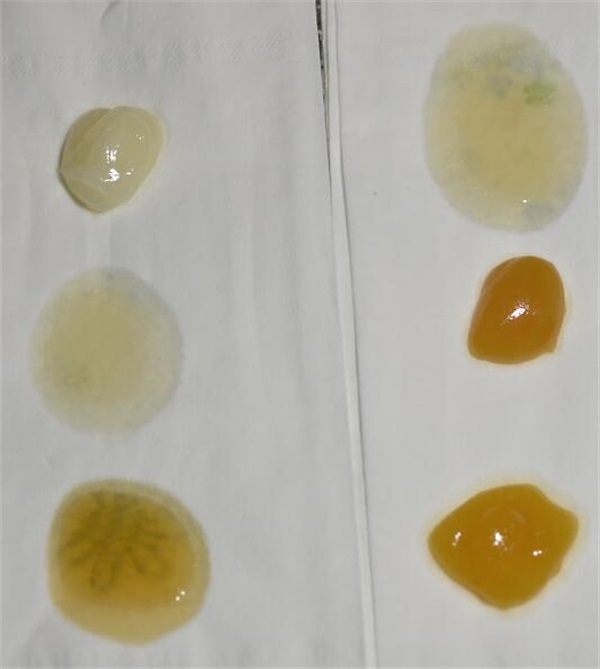 不結晶的蜂蜜是真的嗎?(教你判斷蜂蜜結晶是真是假) 不結晶的蜂蜜是真的嗎?(教你判斷蜂蜜結晶是真是假)