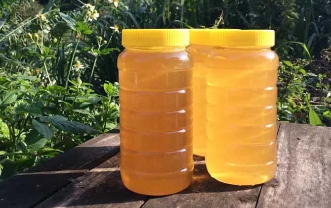 鴨腳木蜜的適用人群(鴨腳木蜜適用人群及禁忌人群) 鴨腳木蜜