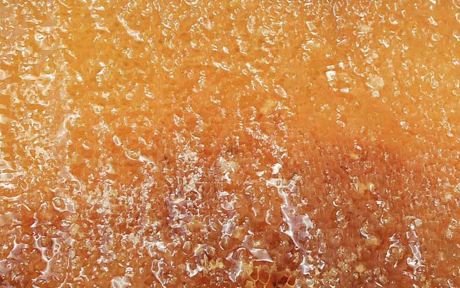 蜂蜜不能放在冰箱里面嗎 蜂蜜不能放在冰箱里面嗎