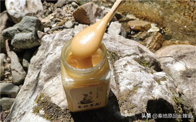 封蓋的蜂蜜和不封蓋的區別(蜜蜂封蓋是什么意思) 封蓋的蜂蜜和不封蓋的區別(蜜蜂封蓋是什么意思)