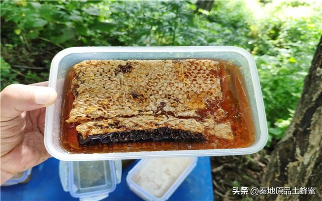 封蓋的蜂蜜和不封蓋的區別(蜜蜂封蓋是什么意思) 封蓋的蜂蜜和不封蓋的區別(蜜蜂封蓋是什么意思)