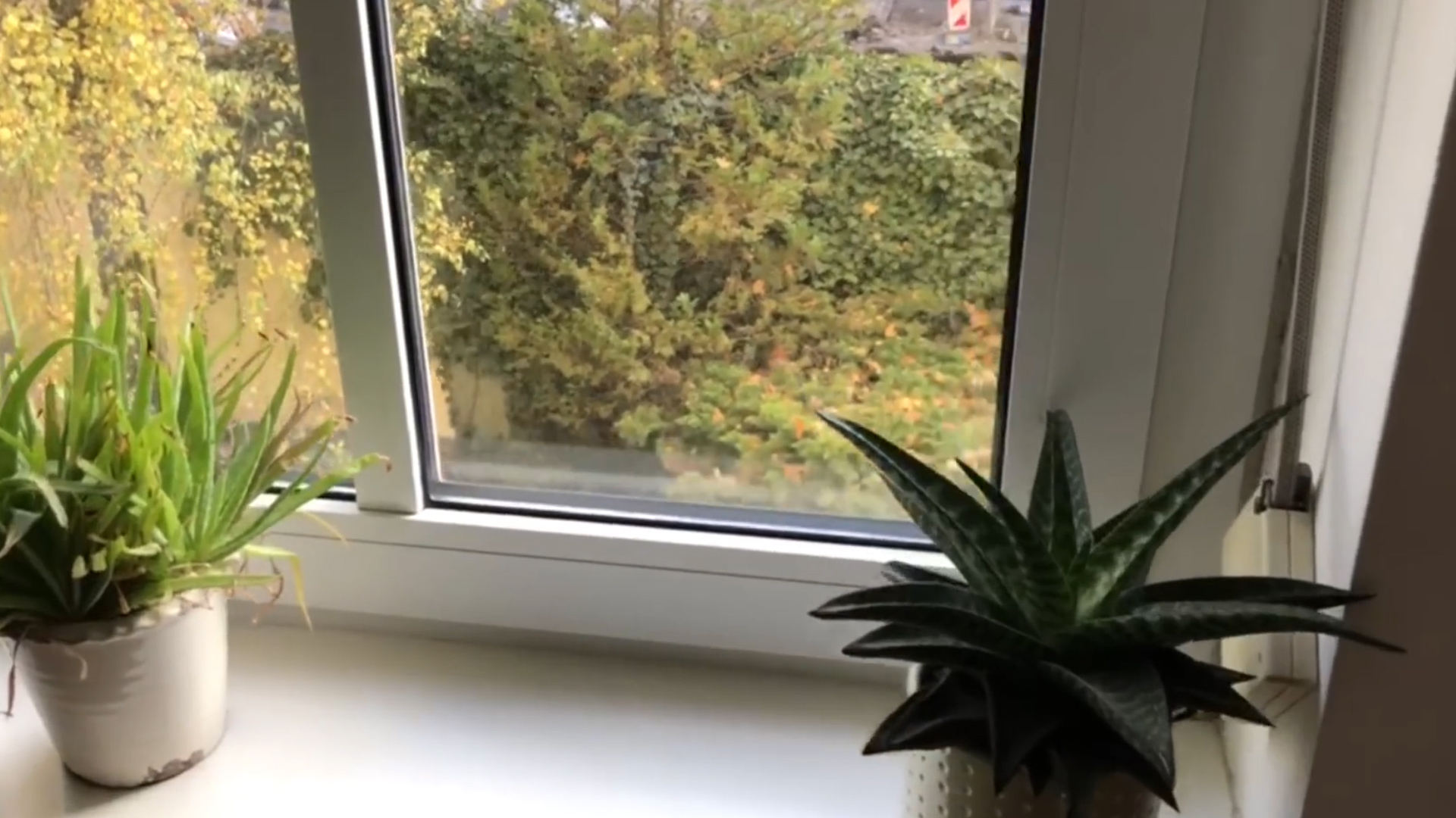 飛機窗戶上的這個小洞，你知道是做什么的嗎？