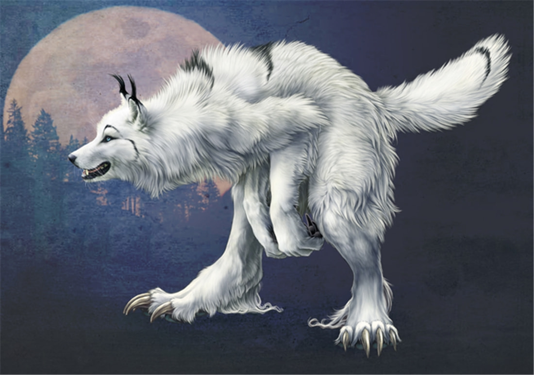 “狽”的原型不是豺,更不是狼獾,為何是狼群中的殘疾狼 長白山多次出現(xiàn)“狽”,最早記載于西漢,奔跑時(shí)前腿搭在狼身上