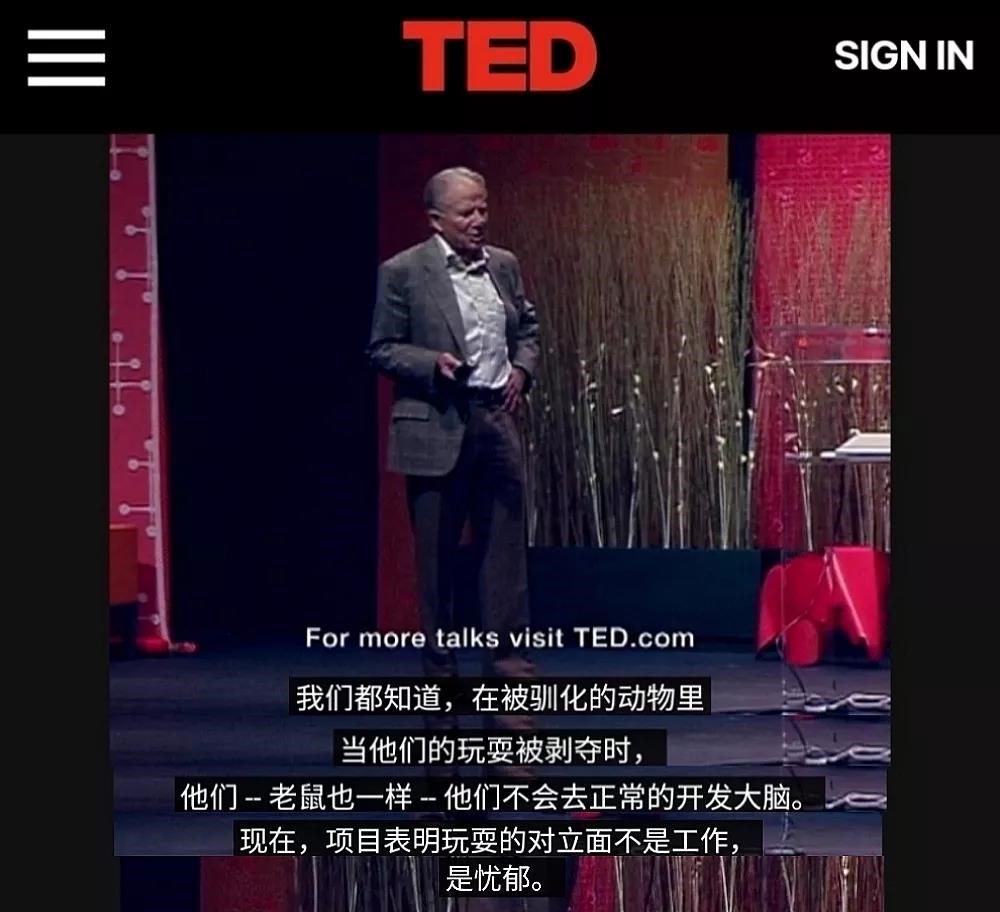 從小帶孩子出去游玩能給孩子帶來哪些意義 家長須知(62)玩耍對孩子有多重要?真相或許會顛覆你的認知