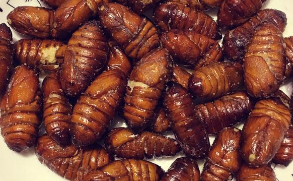 孕婦可以吃蜂蛹嗎(小孩可以吃蜂蛹嗎) 孕婦可以吃蜂蛹嗎(小孩可以吃蜂蛹嗎)