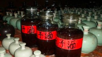 蜂酒的功效與作用及禁忌人群(蜂酒喝了會怎么樣) 蜂酒的功效與作用及禁忌人群(蜂酒喝了會怎么樣)