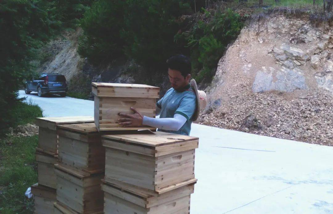 蜂脾是什么意思(一脾子脾能孵出多少次蜜蜂) 蜂脾是什么意思(一脾子脾能孵出多少次蜜蜂)