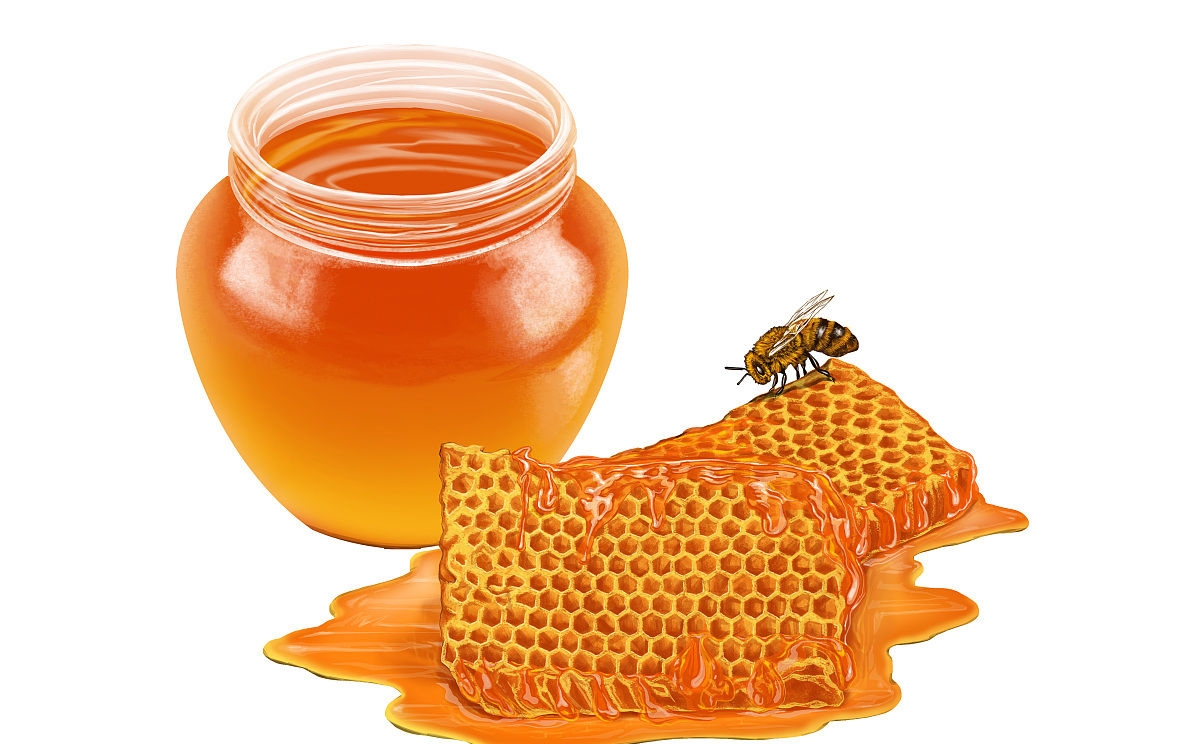 養(yǎng)蜜蜂怎么防止螞蟻(蜂箱怎么防螞蟻最有效的方法) 養(yǎng)蜜蜂怎么防止螞蟻(蜂箱怎么防螞蟻最有效的方法)