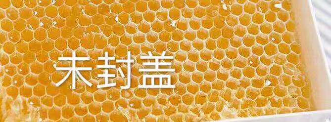 蜂蜜封蓋多久才成熟(封蓋成熟蜜是什么意思) 蜂蜜封蓋多久才成熟(封蓋成熟蜜是什么意思)