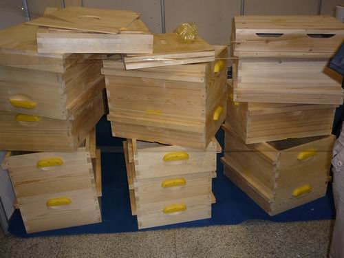 多少脾蜂才能分蜂(中蜂養(yǎng)殖,如何給蜜蜂分蜂) 多少脾蜂才能分蜂(中蜂養(yǎng)殖,如何給蜜蜂分蜂)