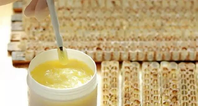 蜂王漿質量好壞的鑒別(什么樣的蜂王漿才是正宗的) 蜂王漿質量好壞的鑒別(什么樣的蜂王漿才是正宗的)