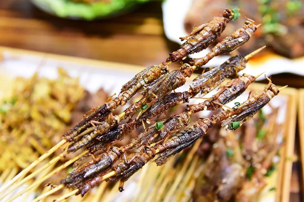 20萬只粉紅椋鳥到達新疆,滅蝗大戰開始,蝗蟲還夠吃嗎 20萬只粉紅椋鳥馳援新疆滅蝗,護40萬畝草場!蝗災到底有多可怕?