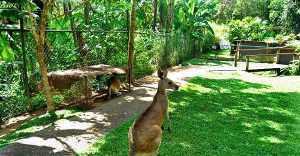 如何判斷蜜源地的優(yōu)劣(蜜源地好壞的判斷標(biāo)準(zhǔn)) 如何判斷蜜源地的優(yōu)劣(蜜源地好壞的判斷標(biāo)準(zhǔn))