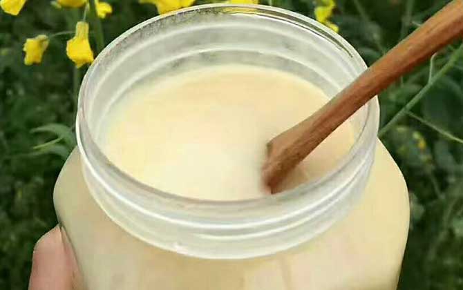 一百畝油菜花產多少蜜(油菜花蜜的特點) 一百畝油菜花產多少蜜(油菜花蜜的特點)