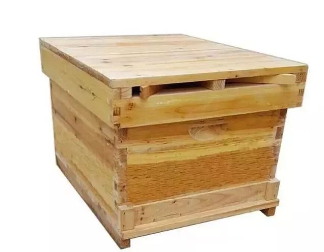 養(yǎng)蜂幾月份開始養(yǎng)(養(yǎng)蜂什么時(shí)候最適宜) 養(yǎng)蜂幾月份開始養(yǎng)(養(yǎng)蜂什么時(shí)候最適宜)