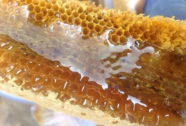 野蜂蜜價格多少錢一斤(各地正宗野蜂蜜的市場價格) 野蜂蜜價格多少錢一斤(各地正宗野蜂蜜的市場價格)