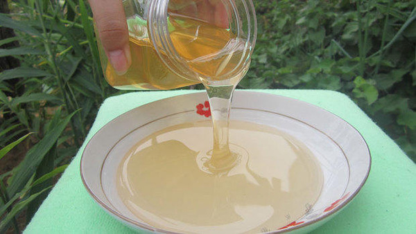 中國大虎頭蜂雄蜂和雌蜂的區(qū)別(中國大虎頭蜂怎么分公母) 中國大虎頭蜂雄蜂和雌蜂的區(qū)別(中國大虎頭蜂怎么分公母)