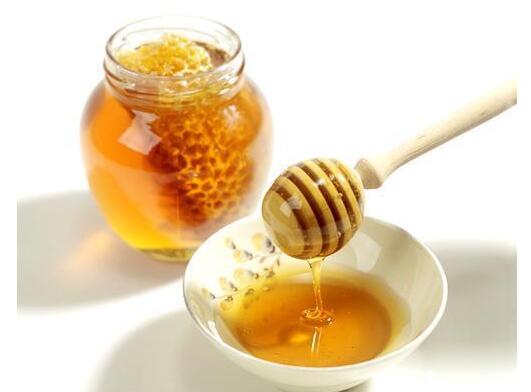 中國大虎頭蜂雄蜂和雌蜂的區(qū)別(中國大虎頭蜂怎么分公母) 中國大虎頭蜂雄蜂和雌蜂的區(qū)別(中國大虎頭蜂怎么分公母)