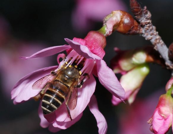 冬天會(huì)有螨蟲嗎(冬天螨蟲多還是夏天螨蟲多) 冬天會(huì)有螨蟲嗎(冬天螨蟲多還是夏天螨蟲多)