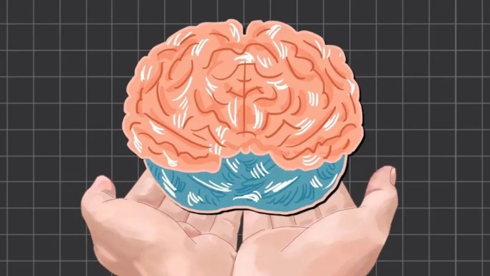 地球上最成功的植物是什么? 地球上最成功的植物,1萬年前操縱智人,占地面積將近10個英國