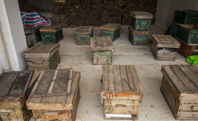 中蜂養殖場地的選擇(養蜂需要什么樣的場地) 中蜂養殖場地的選擇(養蜂需要什么樣的場地)