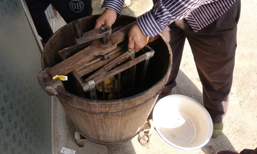 中蜂養殖場地的選擇(養蜂需要什么樣的場地) 中蜂養殖場地的選擇(養蜂需要什么樣的場地)