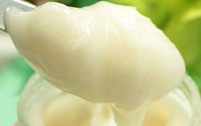 高加索黑蜂蜂蜜怎么食用(高加索蜂蜂蜜吃法) 高加索黑蜂蜂蜜怎么食用(高加索蜂蜂蜜吃法)