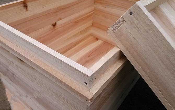 養(yǎng)土蜂什么蜂箱最好(土養(yǎng)蜜蜂用什么蜂箱) 養(yǎng)土蜂什么蜂箱最好(土養(yǎng)蜜蜂用什么蜂箱)