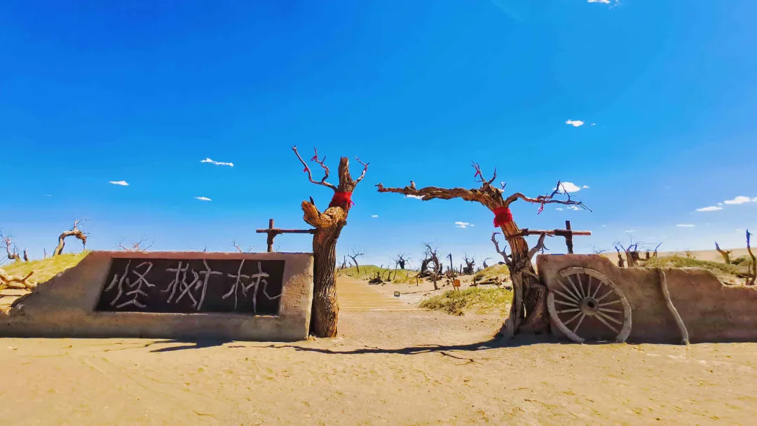 中秋假期有哪些小眾的城市和地方值得推薦 中秋出行!新晉黑馬目的地TOP10,小眾海島、賞秋秘境、文化慢城