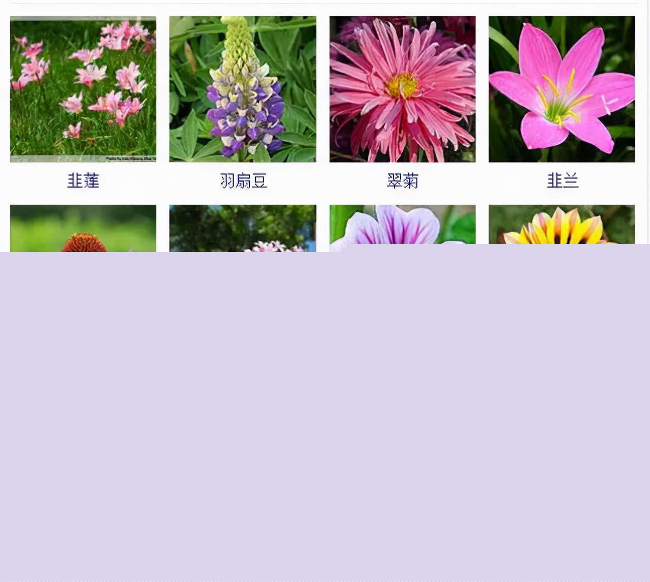 植物品種名稱大全(最常見的800種景觀觀花植物,附植物習性種植) 植物品種名稱大全(最常見的800種景觀觀花植物,附植物習性種植)