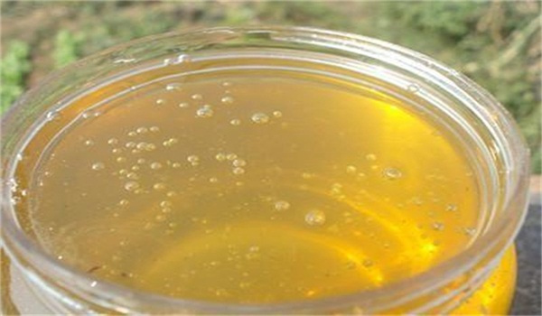 考生夢到蜂巢和蜜蜂(考試夢見蜜蜂窩和很多蜜蜂預(yù)示著什么) 考生夢到蜂巢和蜜蜂(考試夢見蜜蜂窩和很多蜜蜂預(yù)示著什么)