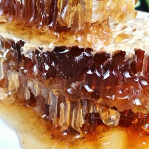 野生的蜂蜜是什么顏色的(食用野生蜂蜜有什么好處) 野生的蜂蜜是什么顏色的(食用野生蜂蜜有什么好處)