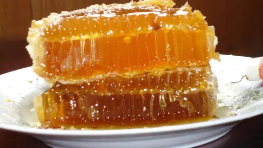 蜂王漿的提取過程 蜂王漿的提取過程