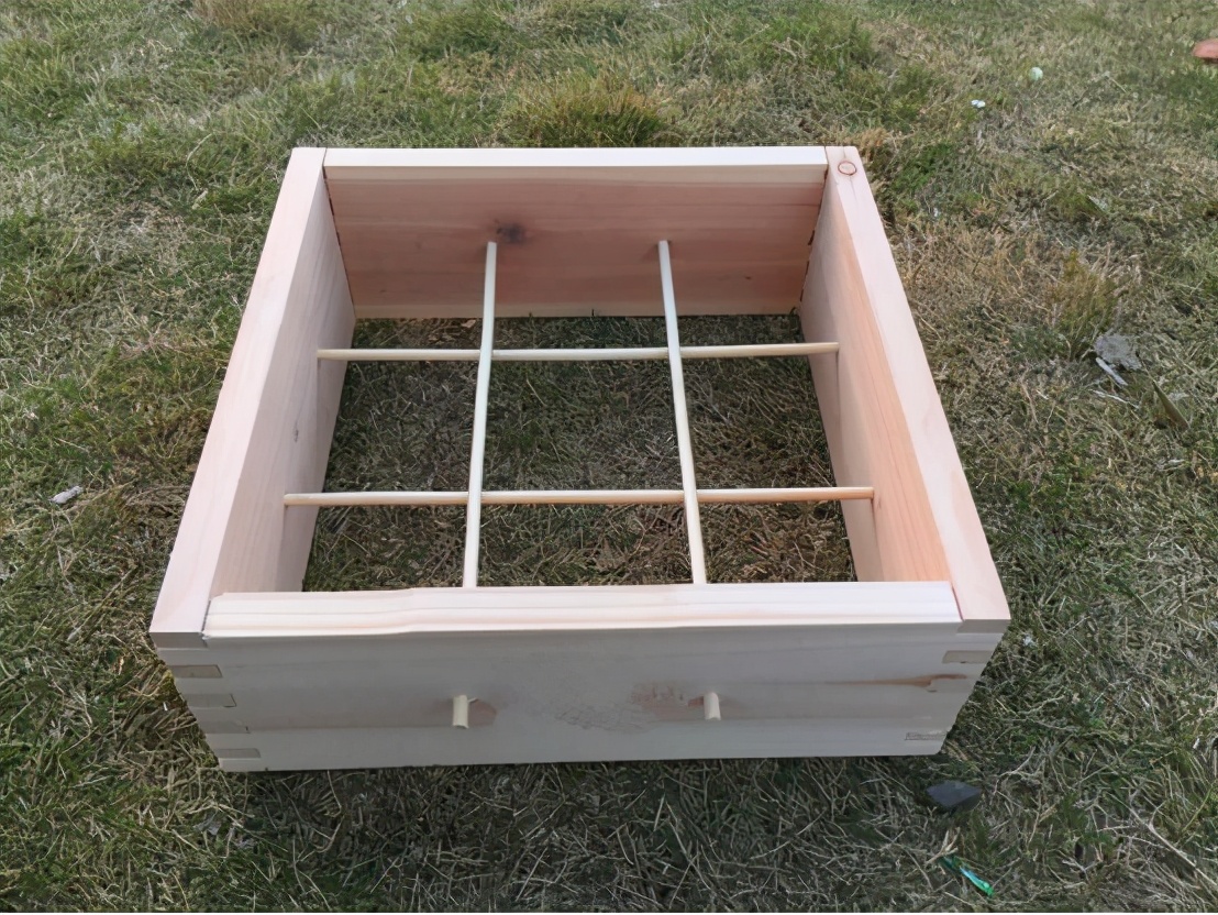 阿壩中蜂可以用格子箱養嗎(對比土養和活框有哪些優缺點呢) 阿壩中蜂可以用格子箱養嗎(對比土養和活框有哪些優缺點呢)