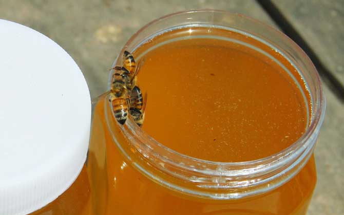 柑橘蜜的價(jià)格(正宗柑橘蜜價(jià)格多少錢一斤) 柑橘蜜的價(jià)格(正宗柑橘蜜價(jià)格多少錢一斤)