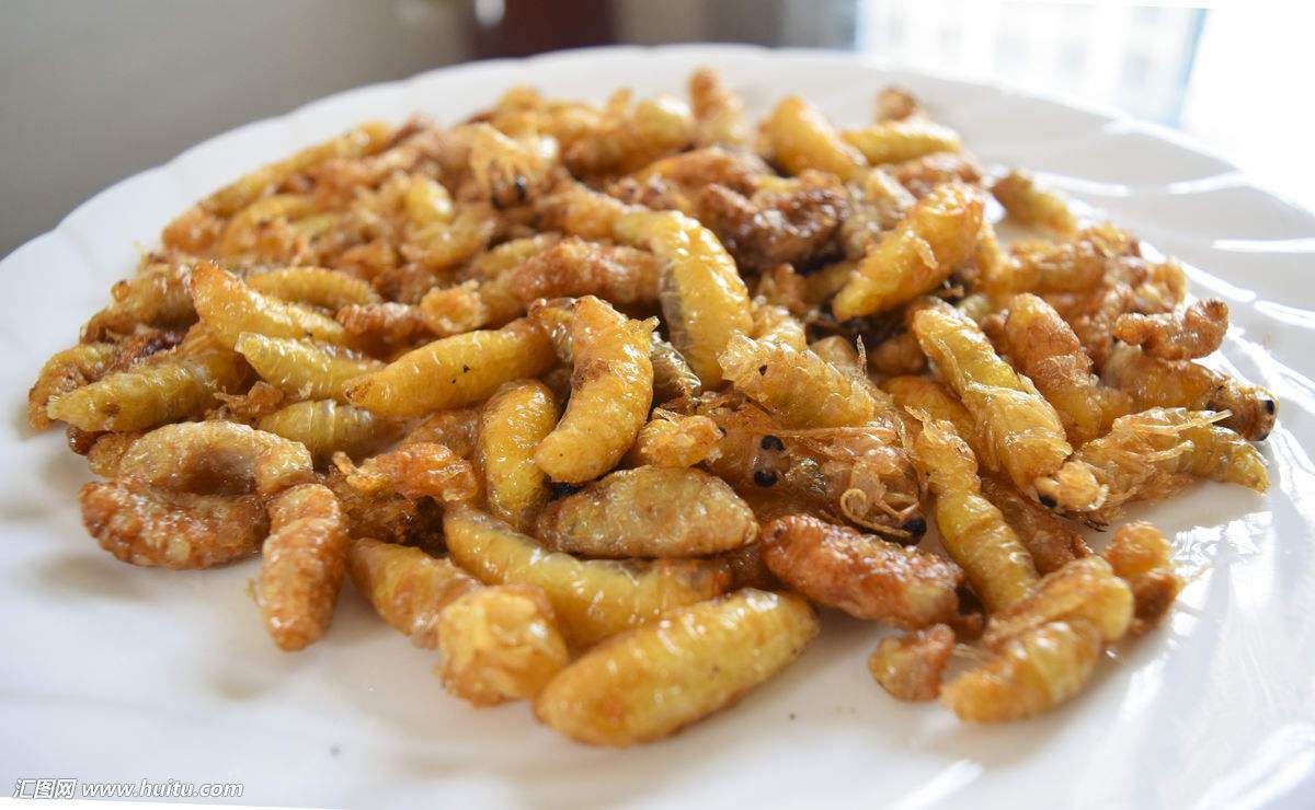 蜂蛹的做法大全(附帶9種蜂蛹做法) 蜂蛹的做法大全(附帶9種蜂蛹做法)